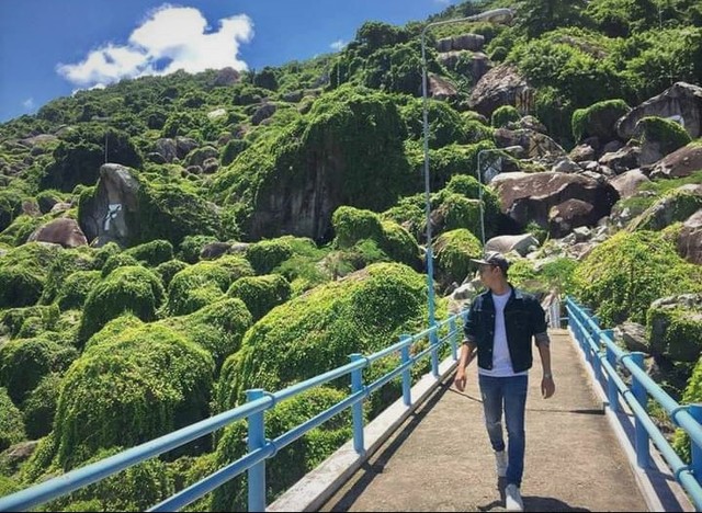 Lạc giữa triền xanh.