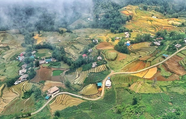 Thung lũng Mường Hoa, Sa Pa mùa nước đổ. (Ảnh: Xuân Mai/Vietnam+).