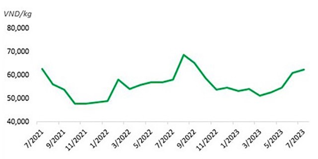 Diễn biến giá thịt lợn bình quân trong 2 năm qua.