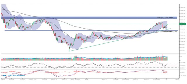 Diễn biến chỉ số VN-Index.