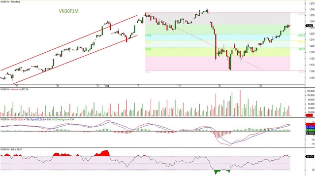 Đồ thị kỹ thuật hợp đồng VN30F1M.