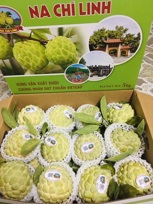 Sản phẩm OCOP nổi tiếng của thành phố Chí Linh.. Sản phẩm OCOP nổi tiếng của thành phố Chí Linh..