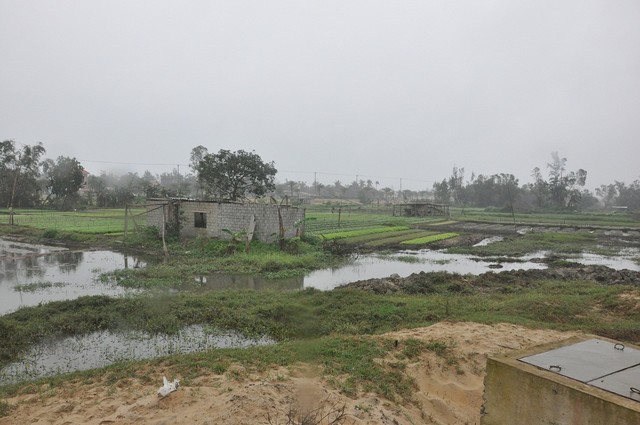 Các dự án của Công ty Bách Đạt An đã hết tiến độ thực hiện. Các dự án của Công ty Bách Đạt An đã hết tiến độ thực hiện.