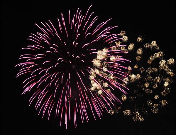 12665782-949756361726358-14589-8685-8894