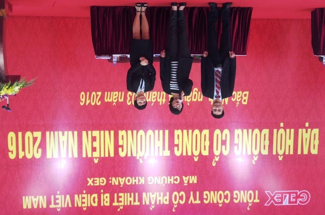 ĐHCĐ Gelex - GEX: Chốt xong nhân sự HĐQT ảnh 2