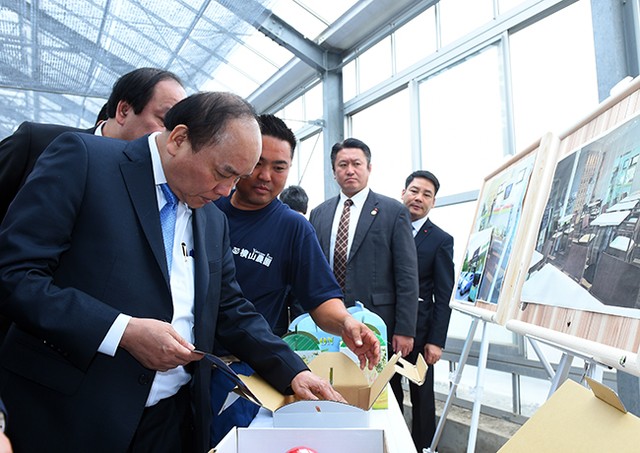 Thủ tướng xem sản phẩm đóng gói của nông trại.