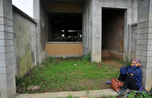 Kiếm trăm triệu nhờ nuôi trâu, thả bò… trong khu biệt thự bỏ hoang Kim Chung - Di Trạch ảnh 3