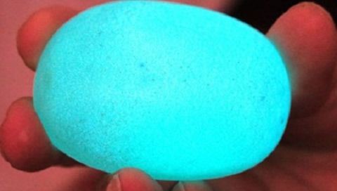 hòn đá tiền tỷ, hòn đá, nhặt được hòn đá, hòn đá muối dưa, ngọc bích, đá quý, long diêm vương, ngọc trai, đá phát sáng, đá có mùi thơm hòn đá tiền tỷ, hòn đá, nhặt được hòn đá, hòn đá muối dưa, ngọc bích, đá quý, long diêm vương, ngọc trai, đá phát sáng, đá có mùi thơm