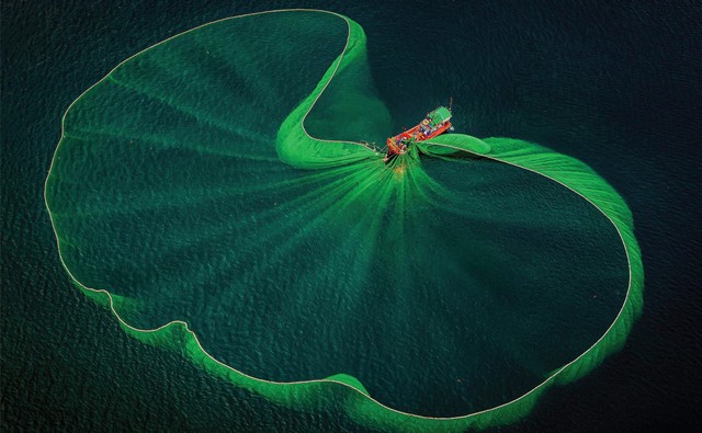 Giao lưu trực tuyến: “Phú Yên – Điểm đến hấp dẫn nhà đầu tư” ảnh 126