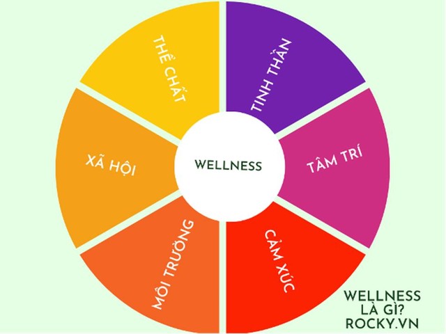 6 yếu tố chính của mô hình wellness 6 yếu tố chính của mô hình wellness