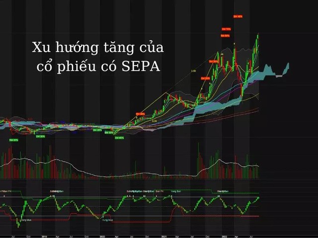 Xu hướng tăng của cổ phiếu có SEPA