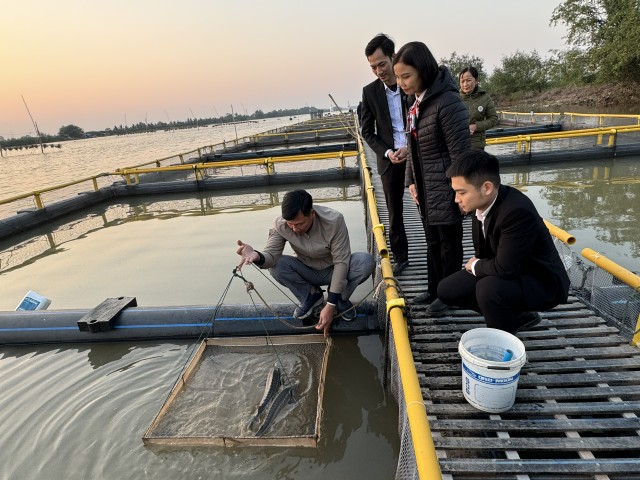 Bà Nguyễn Thị Thơm, Giám đốc Agribank Tiên Lãng và nhân viên Ngân hàng bên bè cá cùng ông chủ Phạm Văn Nhiêu