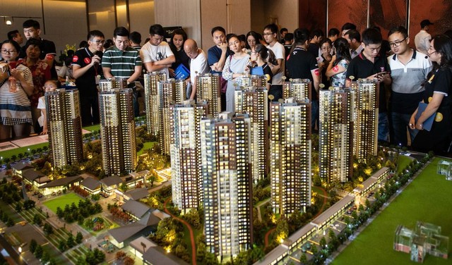 Bất động sản đóng băng, đại gia địa ốc Trung Quốc hướng sang chăn nuôi lợn ảnh 1 Bất động sản đóng băng, đại gia địa ốc Trung Quốc hướng sang chăn nuôi lợn ảnh 1