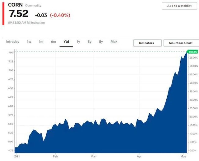 Giá ngô tăng 59% kể từ đầu năm tới nay Giá ngô tăng 59% kể từ đầu năm tới nay