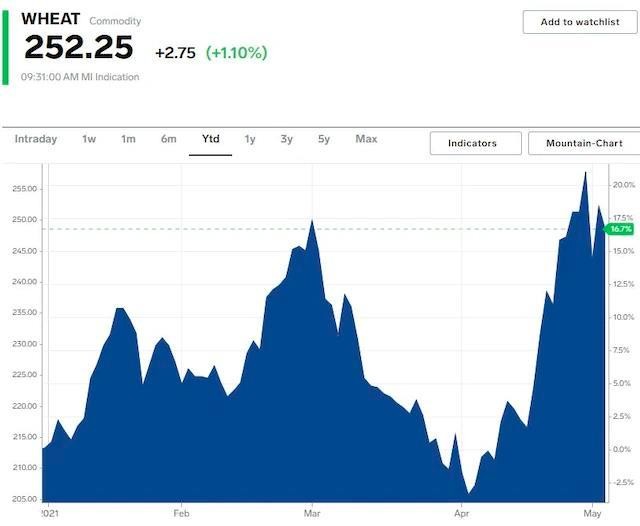 Giá lúa mì tăng 16,7% kể từ đầu năm tới nay Giá lúa mì tăng 16,7% kể từ đầu năm tới nay