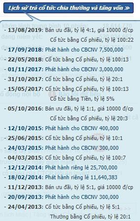 DXG liên tục phát hành ESOP và chào bán cổ phiếu để huy động vốn