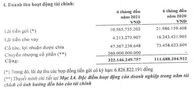 Cơ cấu lợi nhuận tài chính của IDC trong 6 tháng đầu năm 2021