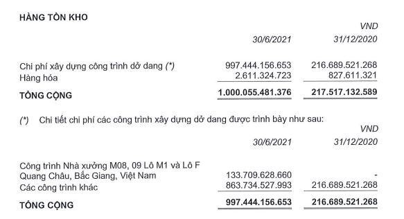 Cơ cấu tồn kho của Ricons tới 30/6/2021