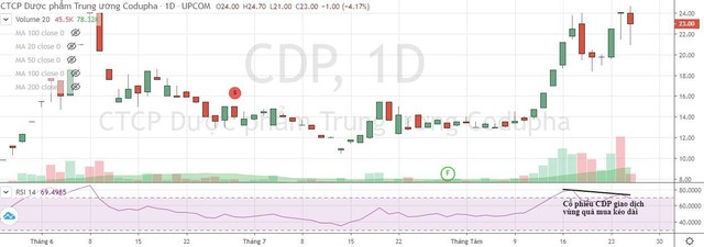Diễn biến cổ phiếu CDP (Nguồn: Fireant)