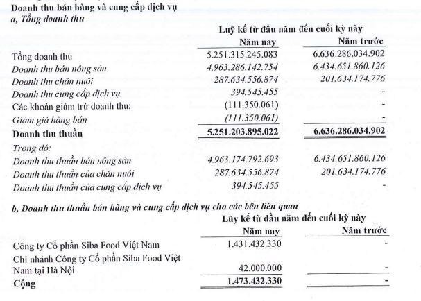 Cơ cấu doanh thu của Nông nghiệp BAF Việt Nam trong 6 tháng đầu năm 2021