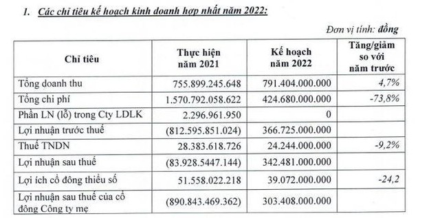 Kế hoạch kinh doanh năm 2022 của TDH.