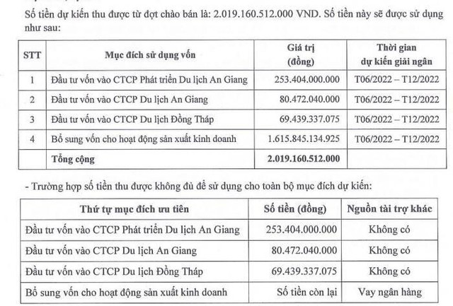 Kế hoạch sử dụng vốn huy động.