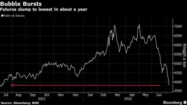 Hợp đồng tương lai dầu cọ Hợp đồng tương lai dầu cọ