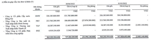 Danh mục đầu tư của BWE tính tới 30/6/2022.