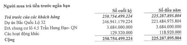 Người mua trả tiền trước của NTL tính tới 30/6/2022. Người mua trả tiền trước của NTL tính tới 30/6/2022.
