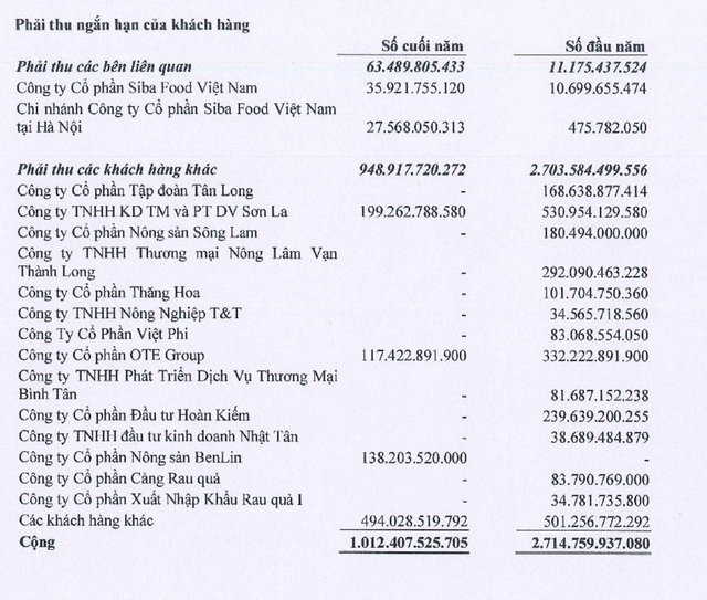 BAF hàng hàng loạt các khoản phải thu các tổ chức trong 6 tháng đầu năm 2022.