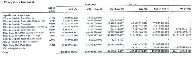 Danh mục đầu tư cổ phiếu của Nhà Đà Nẵng tới 30/6/2022.