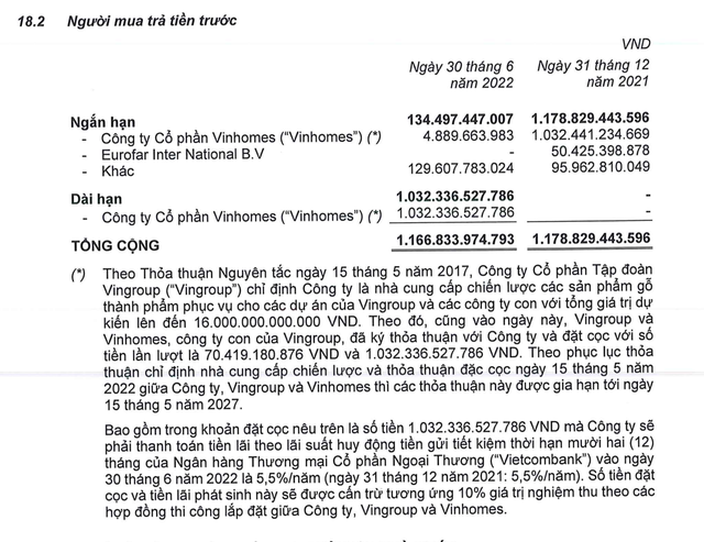 TTF chuyển khoản mục người mua trả tiền trước từ ngắn hạn sang dài hạn (Nguồn: TTF).