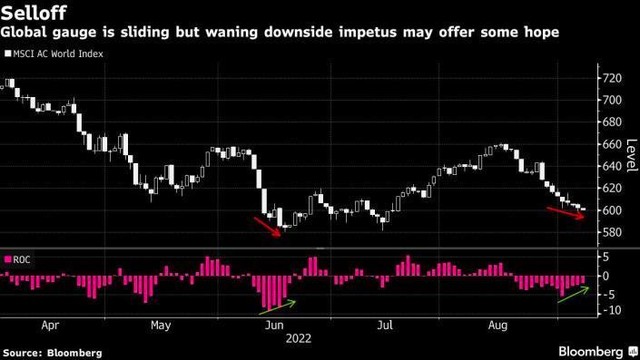 Chỉ số MSCI All Country World Index Chỉ số MSCI All Country World Index