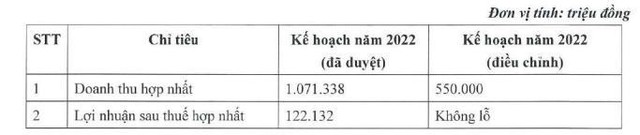 Điều chỉnh kế hoạch kinh doanh năm 2022.