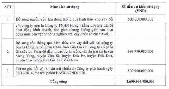Mục đích huy động vốn thông qua tại Đại hội cổ đông thường niên đầu năm 2022 (Nguồn: HAG). Mục đích huy động vốn thông qua tại Đại hội cổ đông thường niên đầu năm 2022 (Nguồn: HAG).