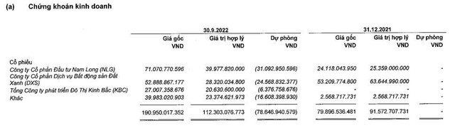 Danh mục cổ phiếu đầu tư của VHC