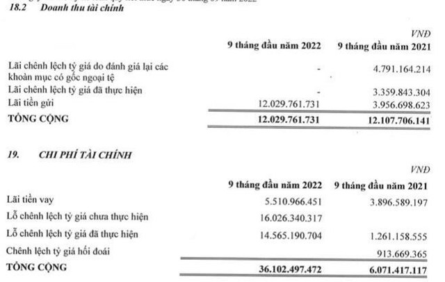 STK lỗ tỷ giá trong 9 tháng đầu năm 2022.