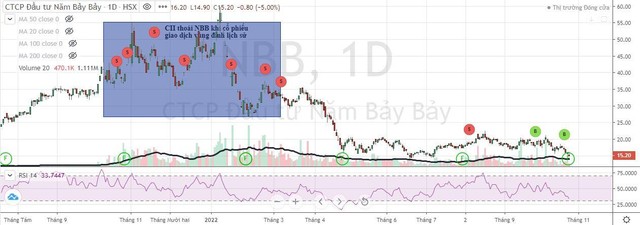 Cổ phiếu NBB bị bán mạnh từ đầu năm tới nay.