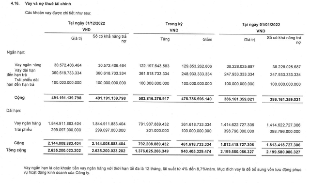Cơ cấu nợ vay của SZC tới 31/12/2022. Cơ cấu nợ vay của SZC tới 31/12/2022.
