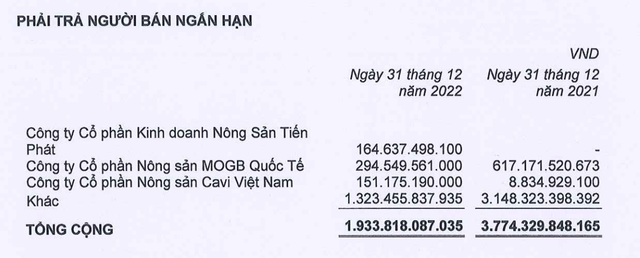 Phải trả người bán ngắn hạn giảm mạnh trong năm 2022.