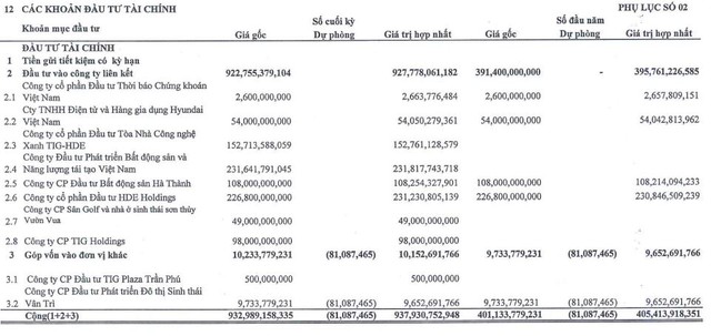 TIG tăng đầu tư vào công ty liên kết trong năm 2022.