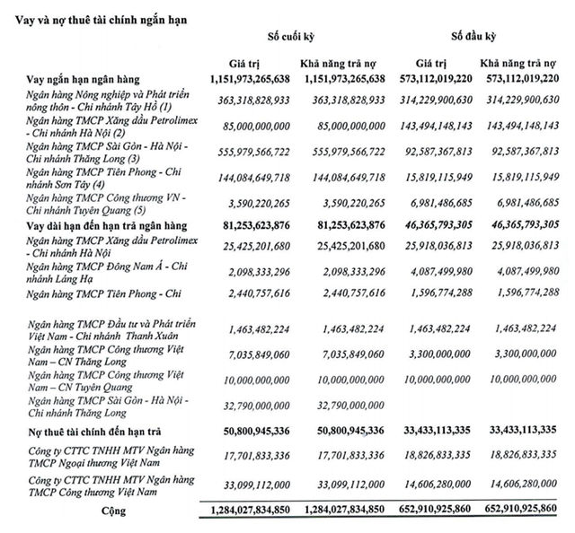 Cơ cấu nợ vay ngắn hạn tới 31/12/2022.