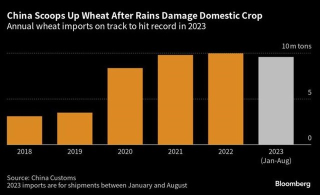 Nhập khẩu lúa mì của Trung Quốc qua các năm Nhập khẩu lúa mì của Trung Quốc qua các năm