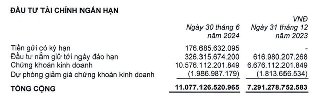 Cơ cấu đầu tư tài chính ngắn hạn của Tập đoàn PAN tại thời điểm 30/6/2024