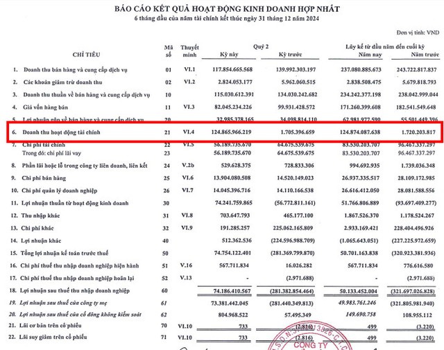 Doanh thu tài chính quý II tương đương nửa đầu năm 2024 Doanh thu tài chính quý II tương đương nửa đầu năm 2024