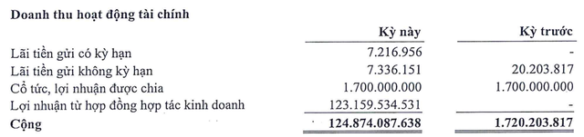 Doanh thu tài chính tăng nửa đầu năm 2024 đến từ lãi hợp tác kinh doanh Doanh thu tài chính tăng nửa đầu năm 2024 đến từ lãi hợp tác kinh doanh