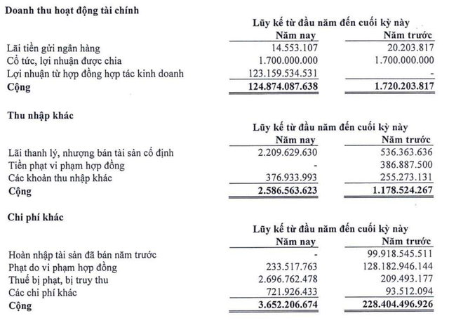 Cơ cấu doanh thu tài chính và lãi thu nhập khác trong nửa đầu năm 2024 Cơ cấu doanh thu tài chính và lãi thu nhập khác trong nửa đầu năm 2024