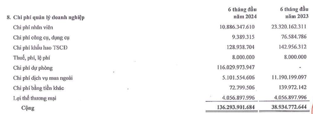 LDG tăng trích lập dự phòng nửa đầu năm 2024 LDG tăng trích lập dự phòng nửa đầu năm 2024