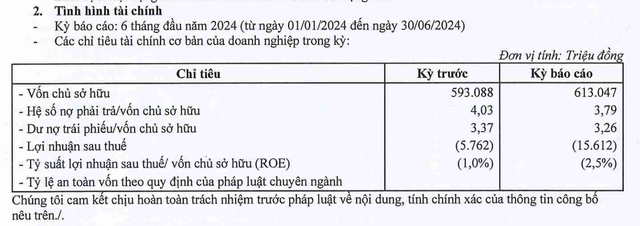 Công ty TNHH Nam Rạch Chiếc lỗ trong nửa đầu năm 2024 Công ty TNHH Nam Rạch Chiếc lỗ trong nửa đầu năm 2024