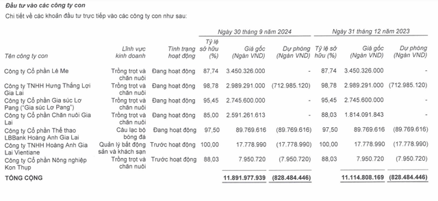 Hoàng Anh Gia Lai đã trích lập toàn bộ giá trị đầu tư vào Công ty cổ phần Nông nghiệp Kon Thụp